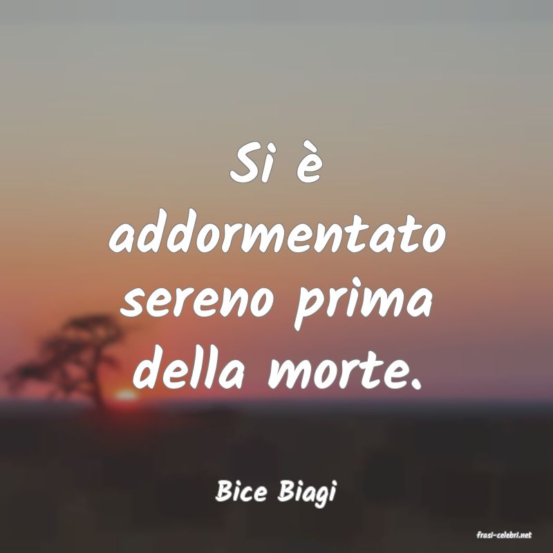 frasi di Bice Biagi