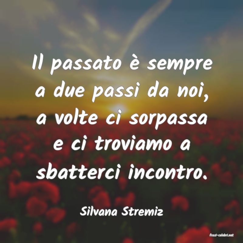 frasi di  Silvana Stremiz
