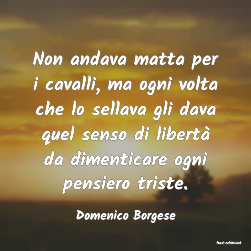 frasi di  Domenico Borgese
