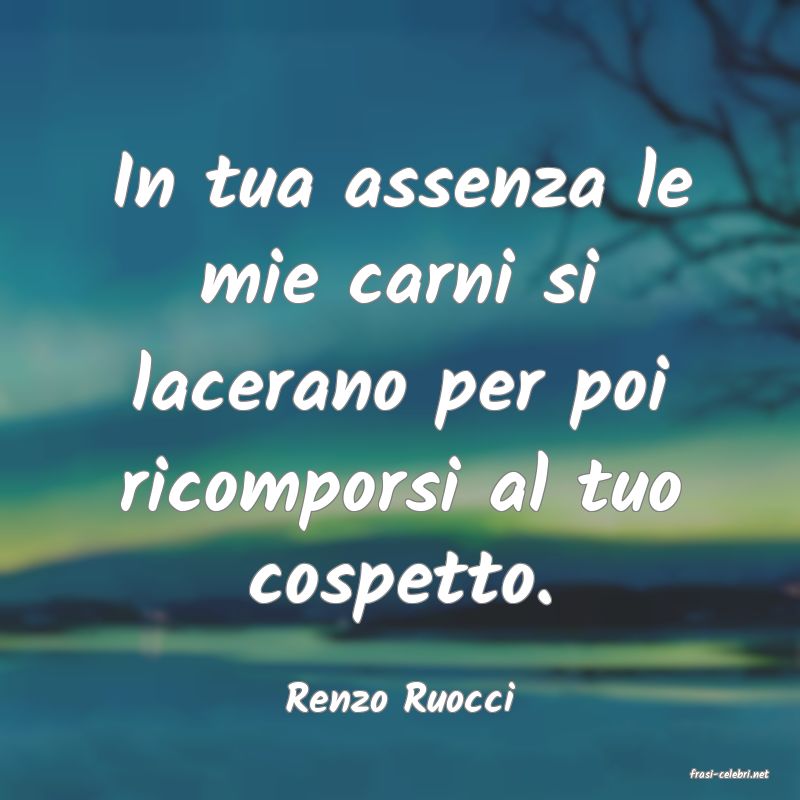 frasi di  Renzo Ruocci
