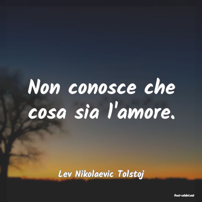 frasi di  Lev Nikolaevic Tolstoj
