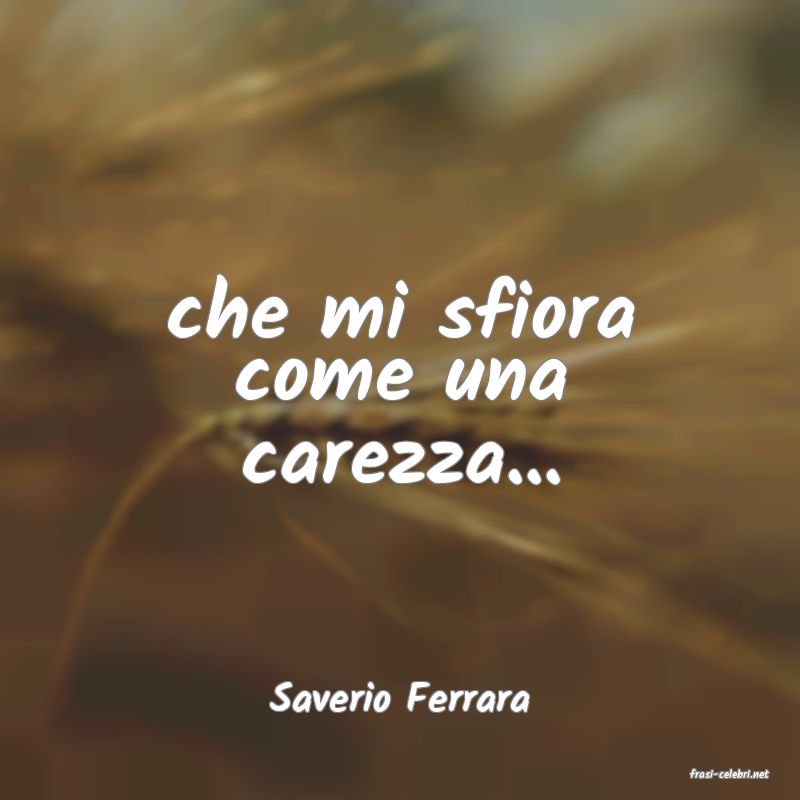 frasi di  Saverio Ferrara
