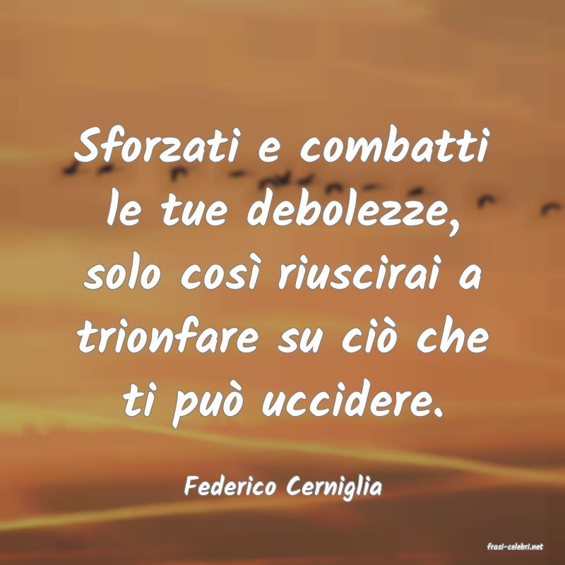 frasi di  Federico Cerniglia
