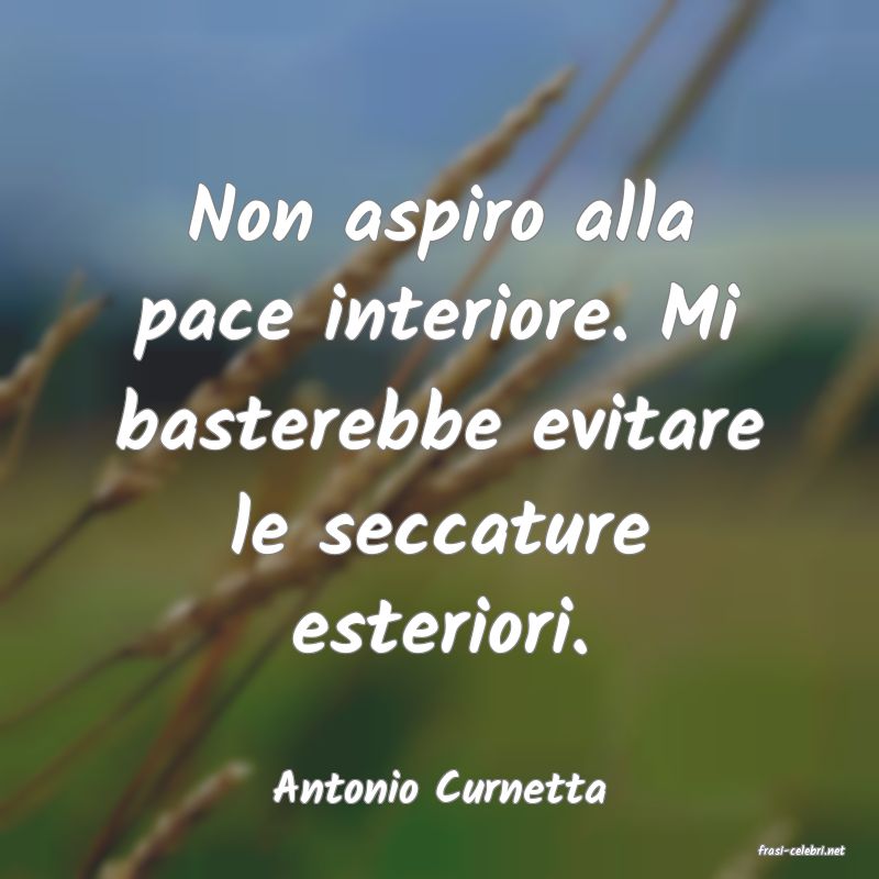 frasi di Antonio Curnetta