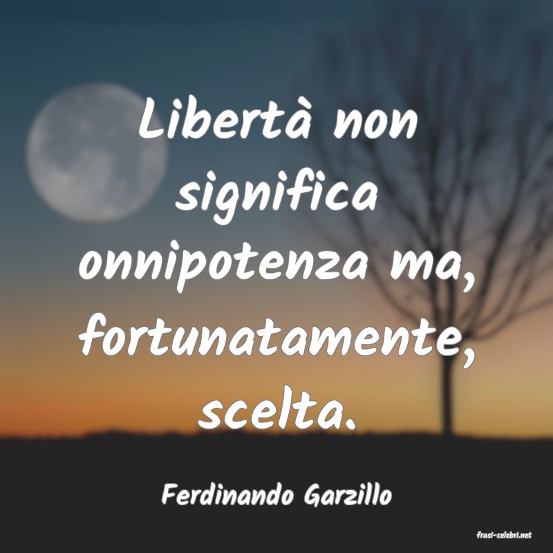 frasi di Ferdinando Garzillo