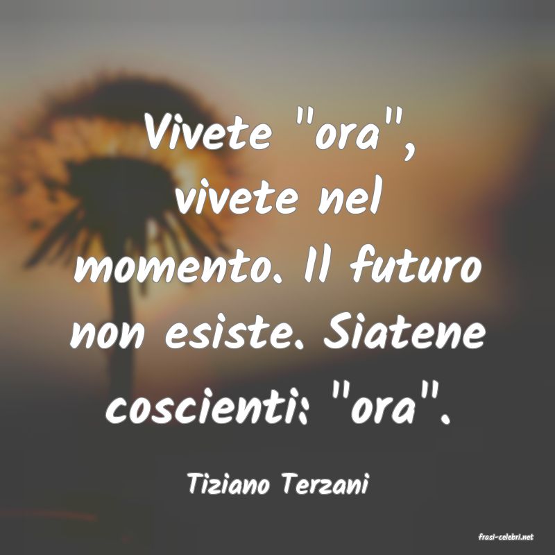frasi di  Tiziano Terzani
