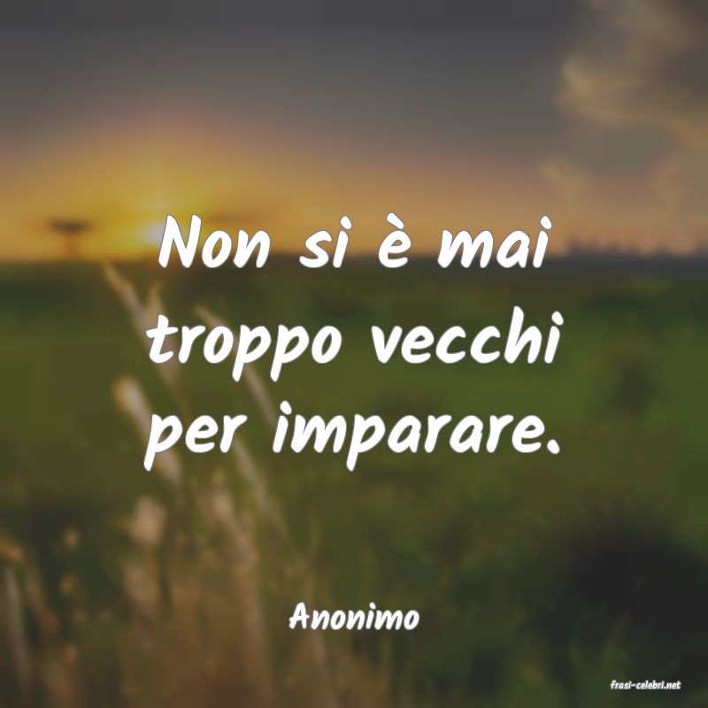 frasi di  Anonimo
