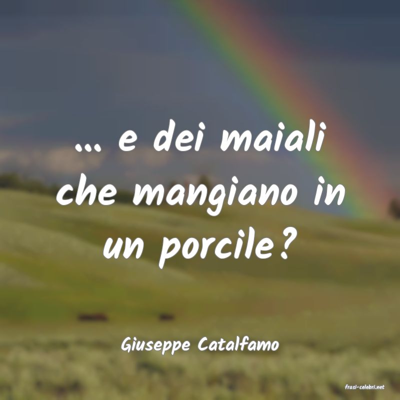 frasi di  Giuseppe Catalfamo
