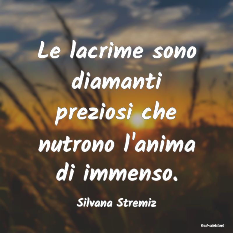 frasi di  Silvana Stremiz
