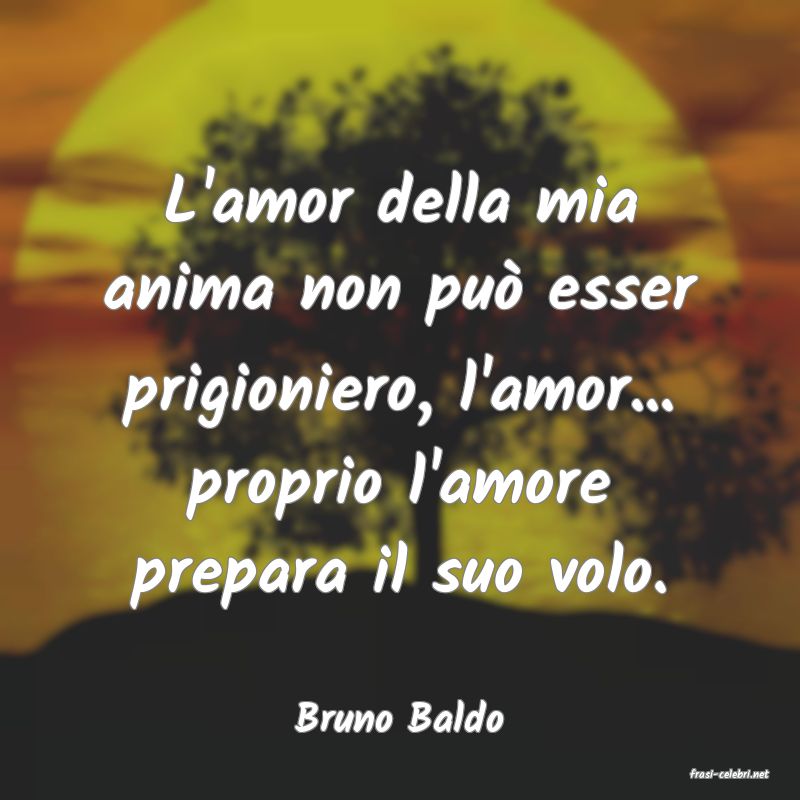 frasi di Bruno Baldo