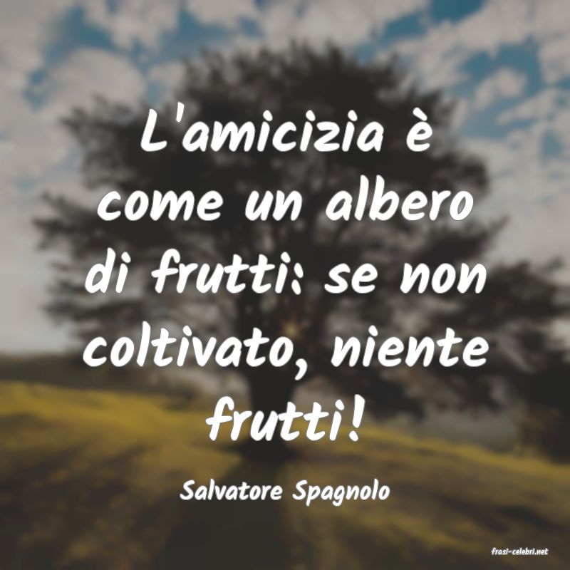 frasi di  Salvatore Spagnolo
