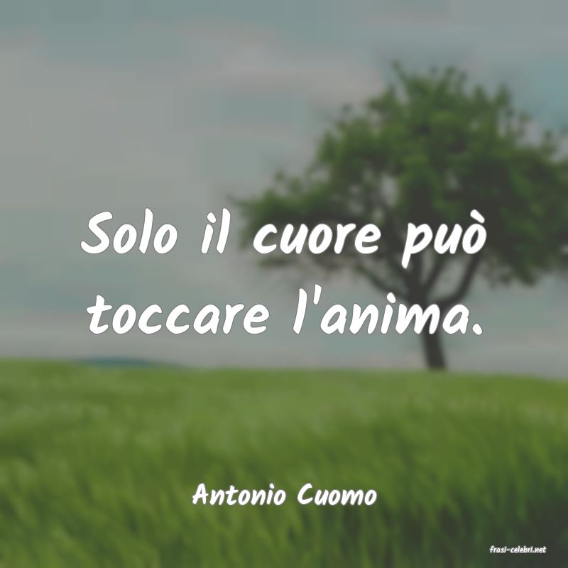 frasi di  Antonio Cuomo
