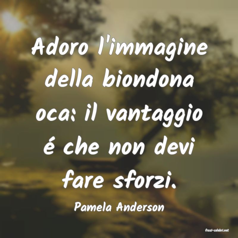 frasi di  Pamela Anderson

