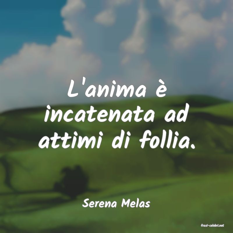 frasi di  Serena Melas
