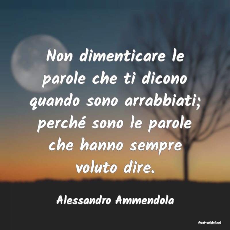 frasi di  Alessandro Ammendola
