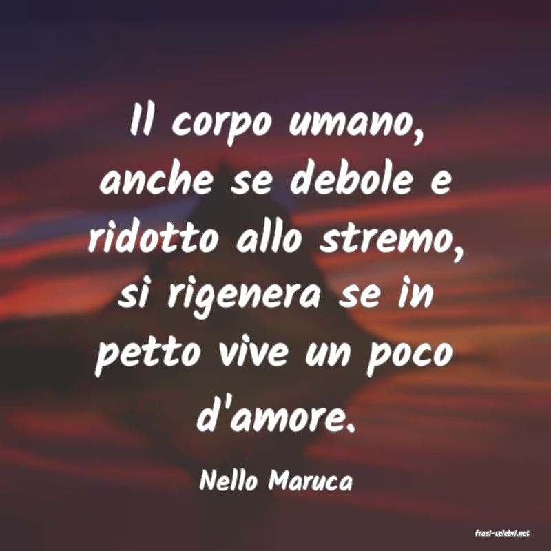 frasi di  Nello Maruca
