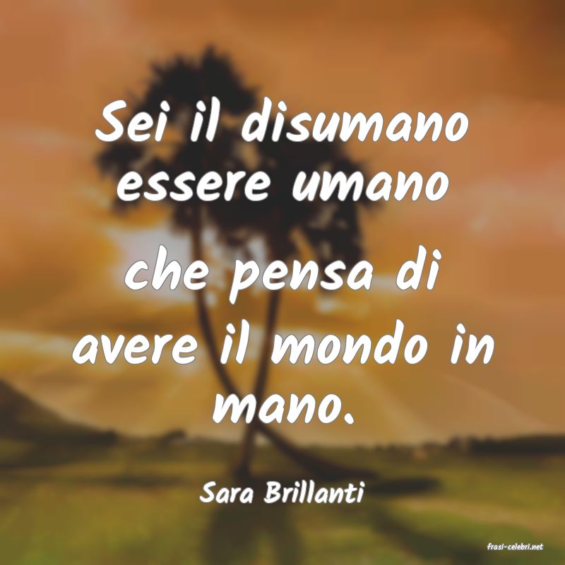 frasi di  Sara Brillanti
