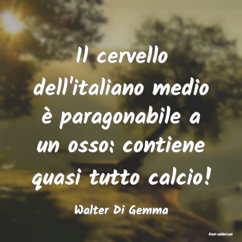 frasi di  Walter Di Gemma
