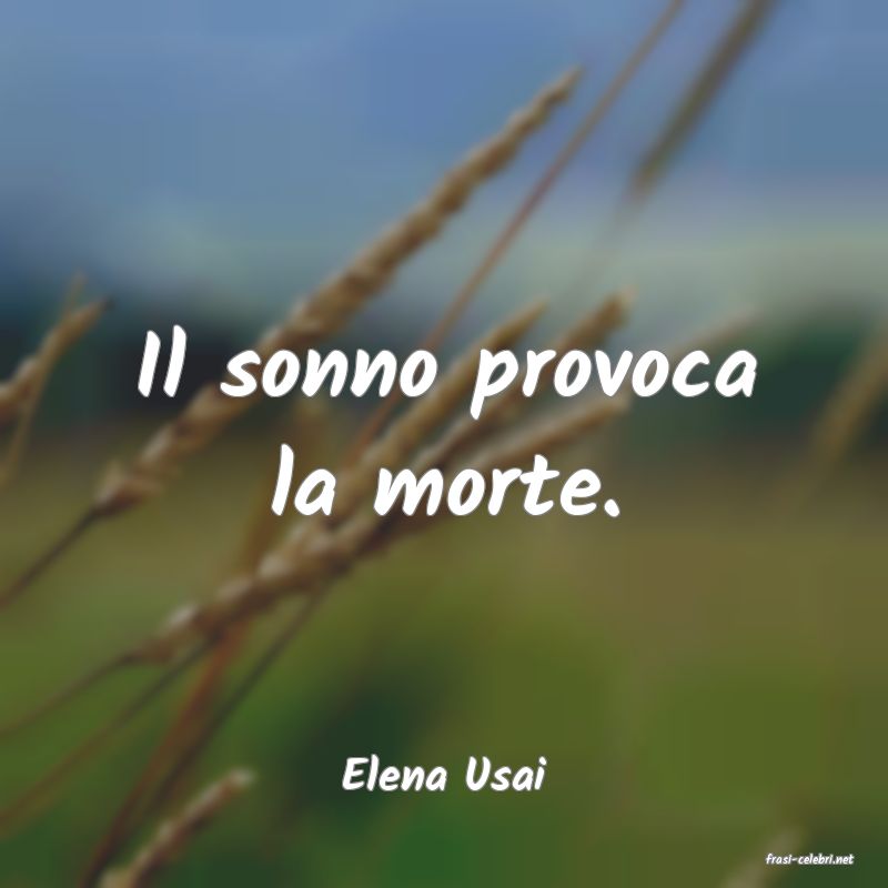 frasi di  Elena Usai
