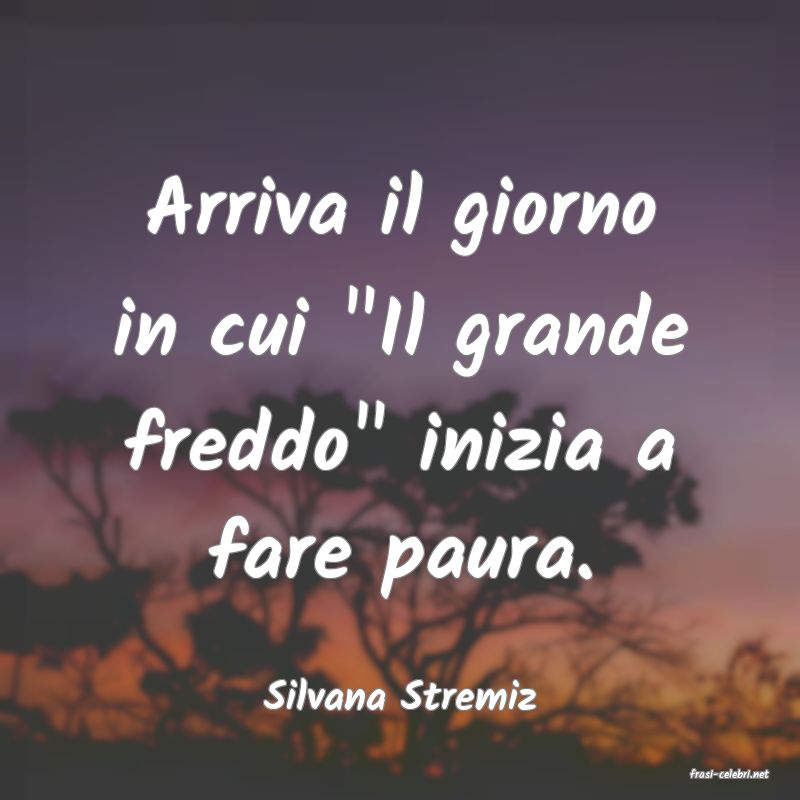 frasi di  Silvana Stremiz
