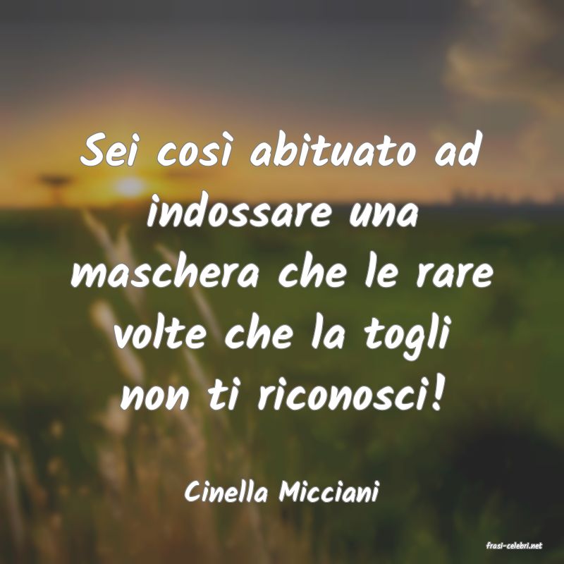 frasi di  Cinella Micciani
