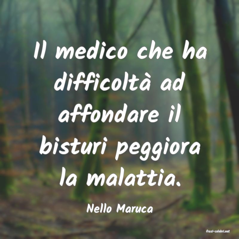frasi di  Nello Maruca
