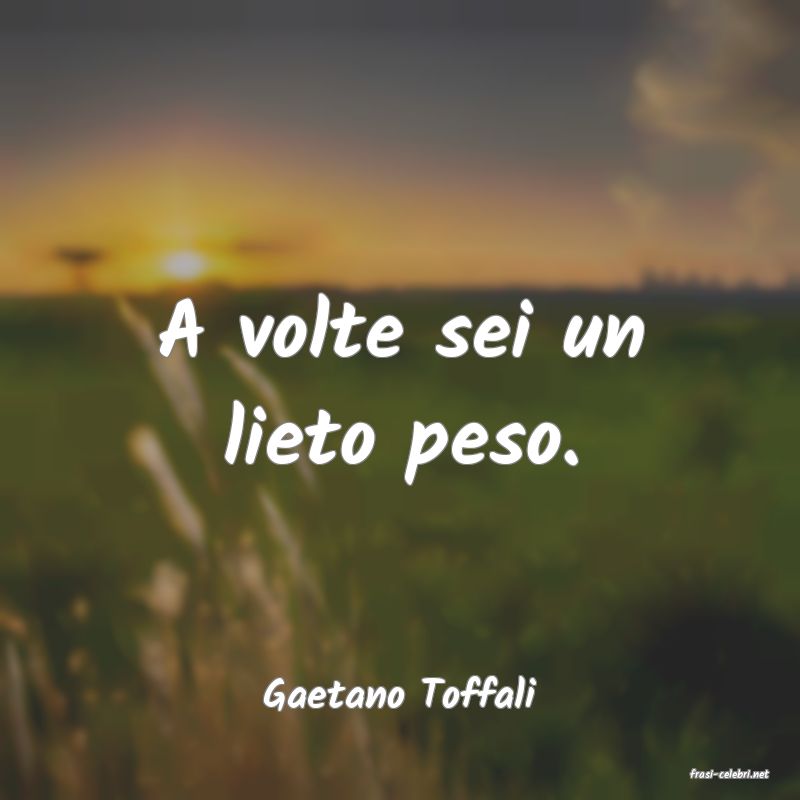 frasi di  Gaetano Toffali

