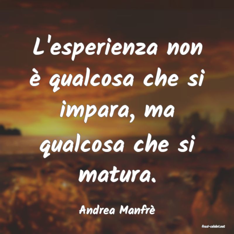 frasi di Andrea Manfr