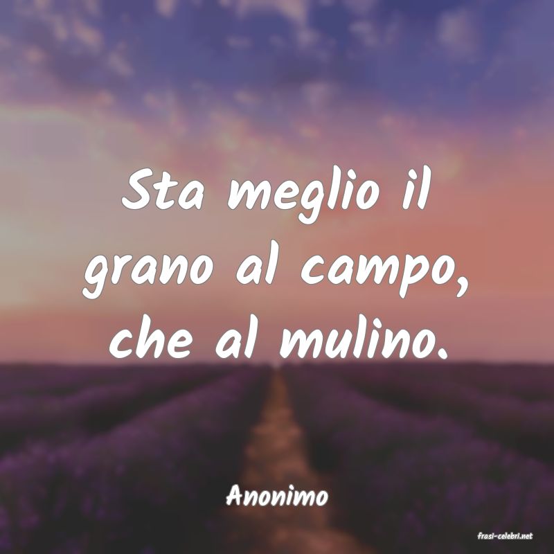 frasi di Anonimo