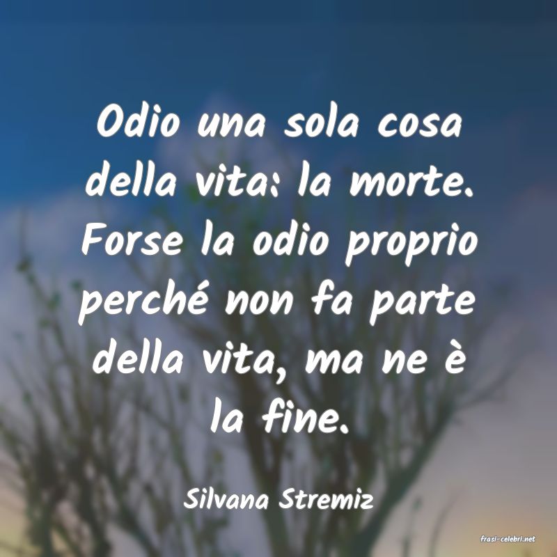 frasi di Silvana Stremiz