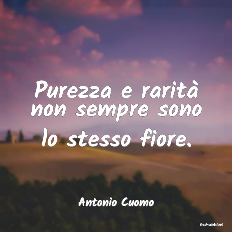 frasi di  Antonio Cuomo
