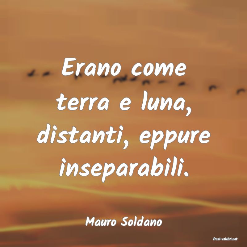 frasi di Mauro Soldano