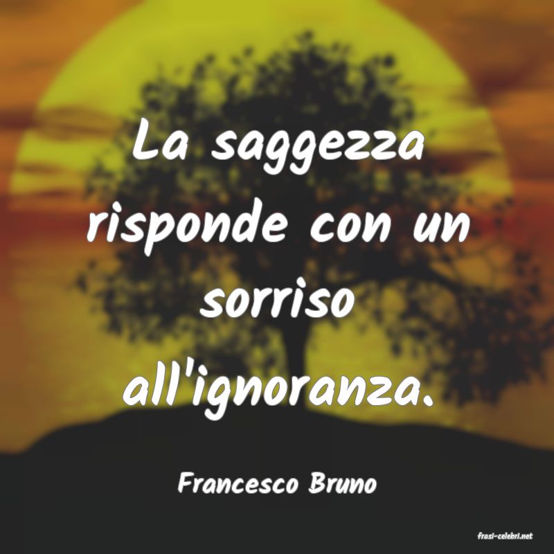 frasi di  Francesco Bruno
