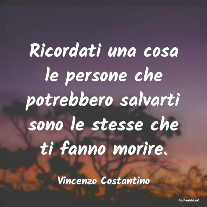 frasi di  Vincenzo Costantino
