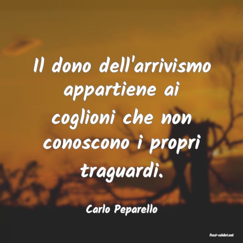 frasi di  Carlo Peparello
