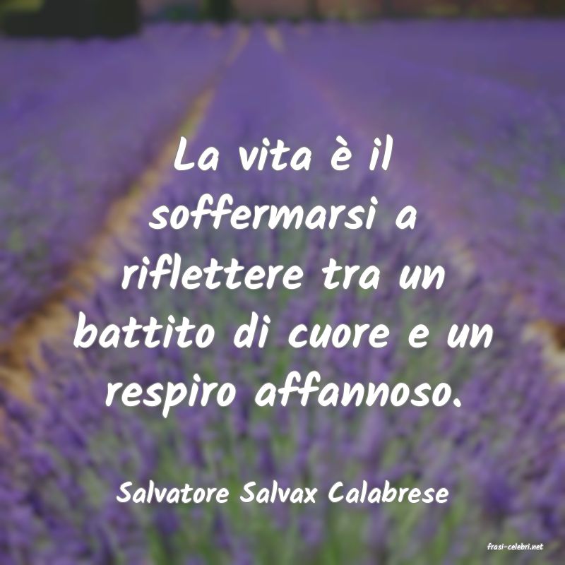frasi di Salvatore Salvax Calabrese