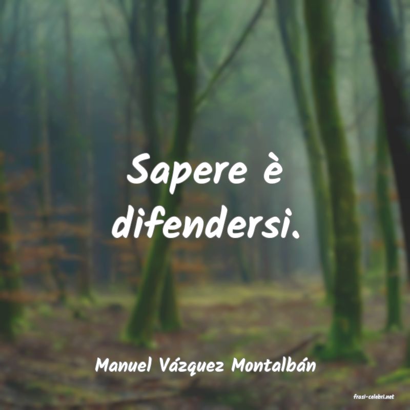 frasi di Manuel Vzquez Montalbn