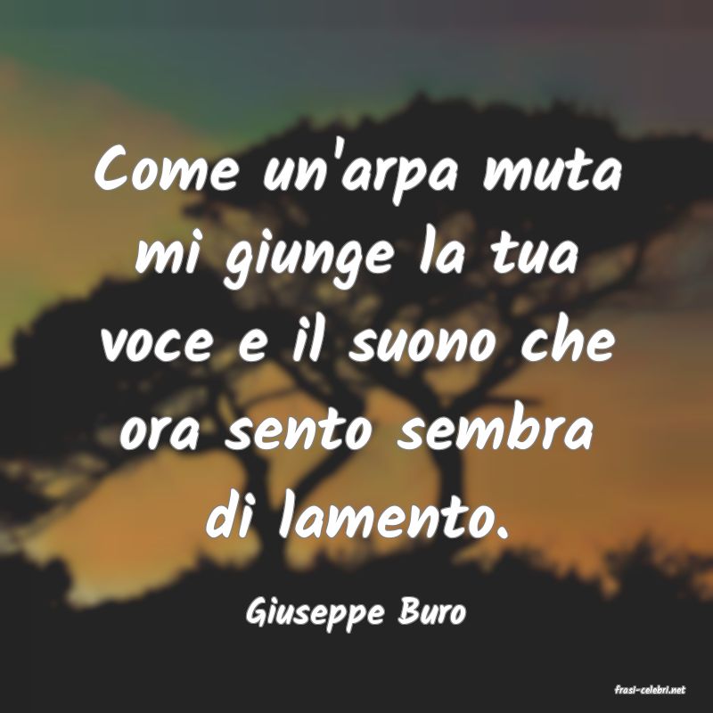 frasi di  Giuseppe Buro
