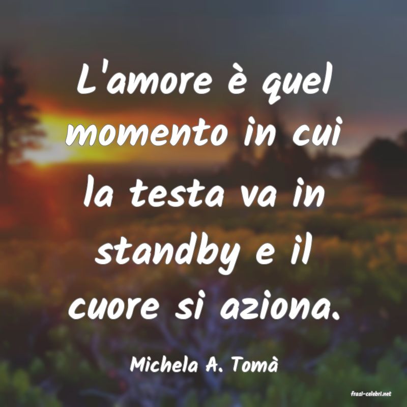 frasi di Michela A. Tom�