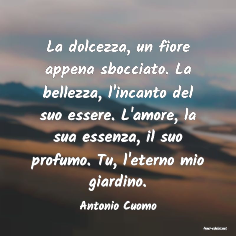 frasi di  Antonio Cuomo
