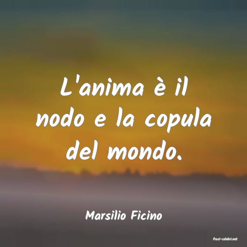 frasi di  Marsilio Ficino
