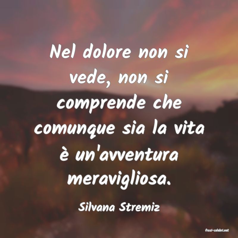 frasi di  Silvana Stremiz
