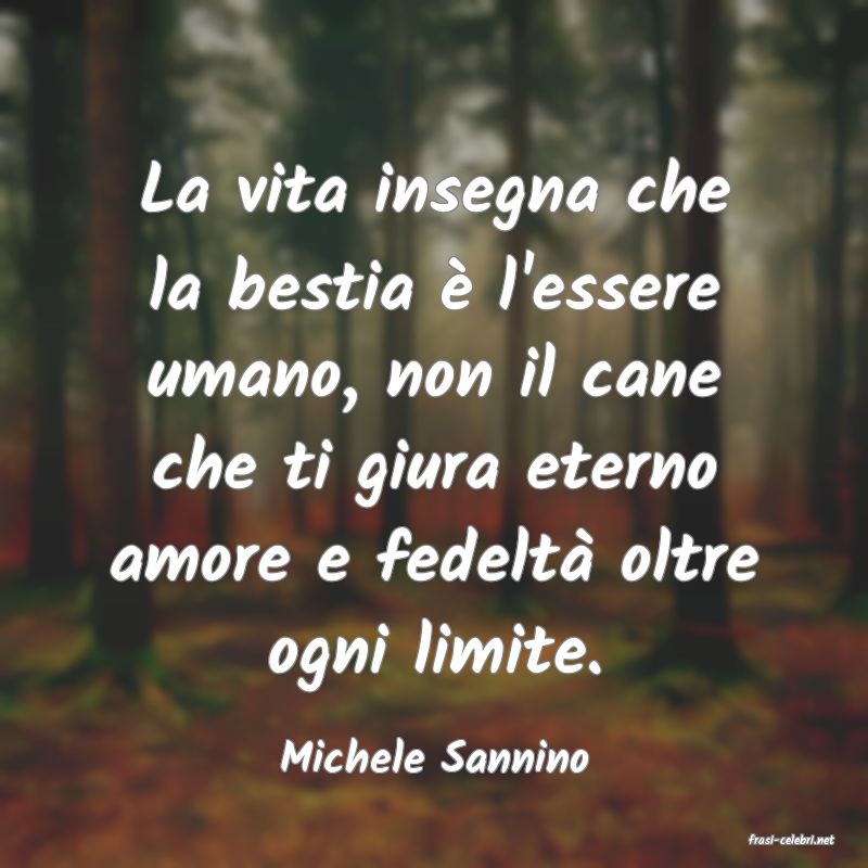 frasi di  Michele Sannino
