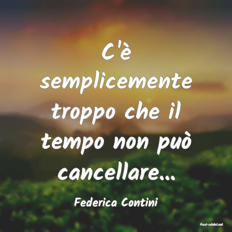frasi di  Federica Contini
