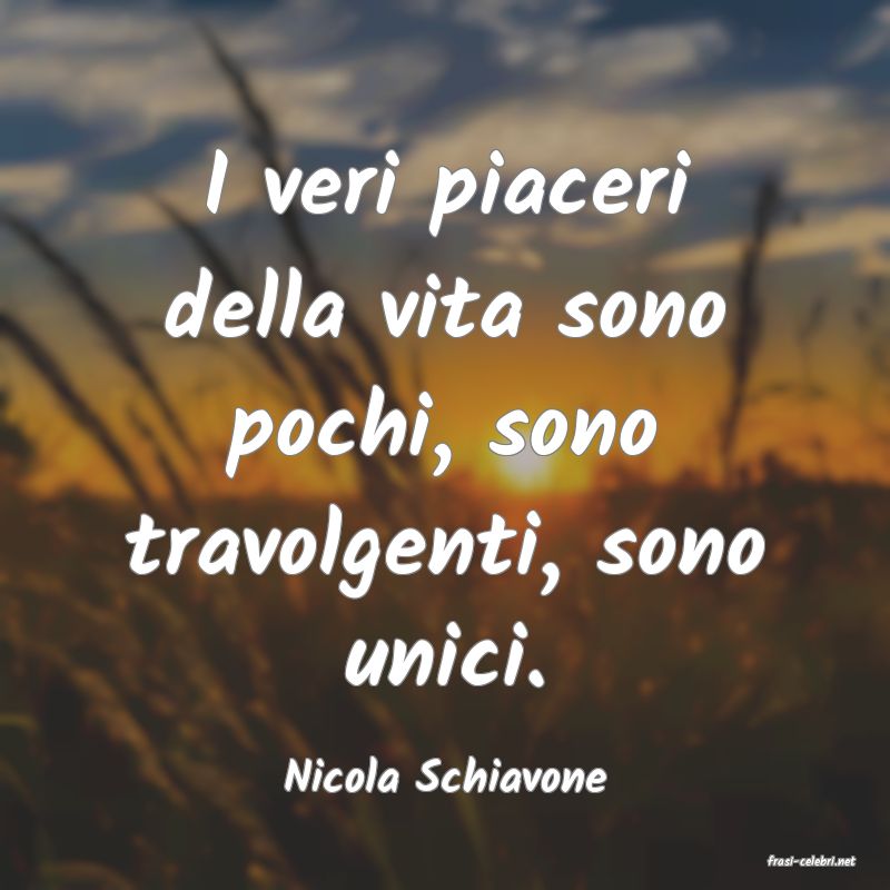 frasi di  Nicola Schiavone
