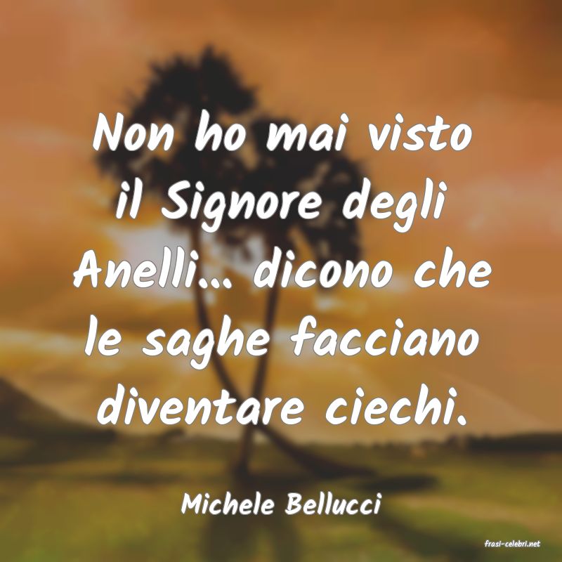 frasi di Michele Bellucci
