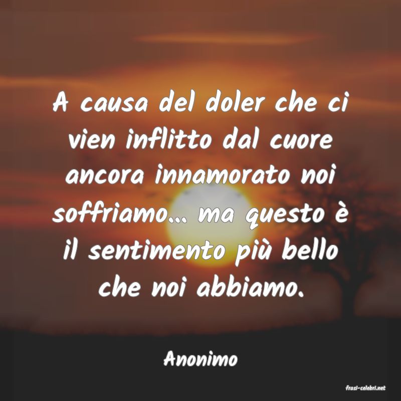 frasi di Anonimo