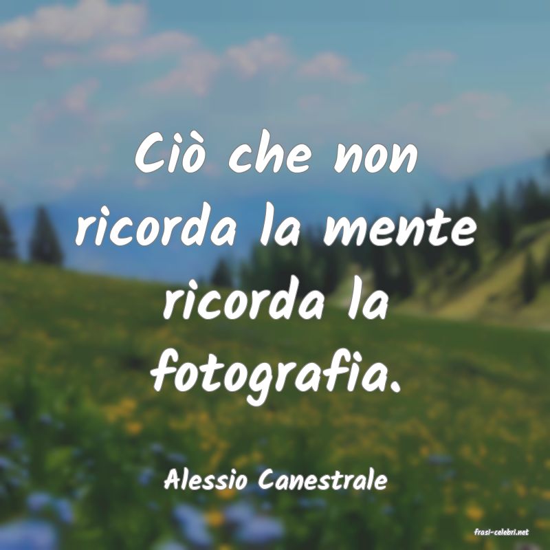 frasi di  Alessio Canestrale
