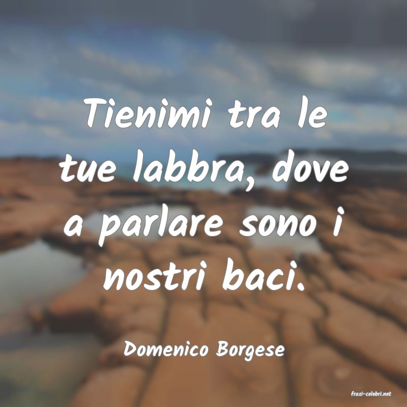 frasi di  Domenico Borgese

