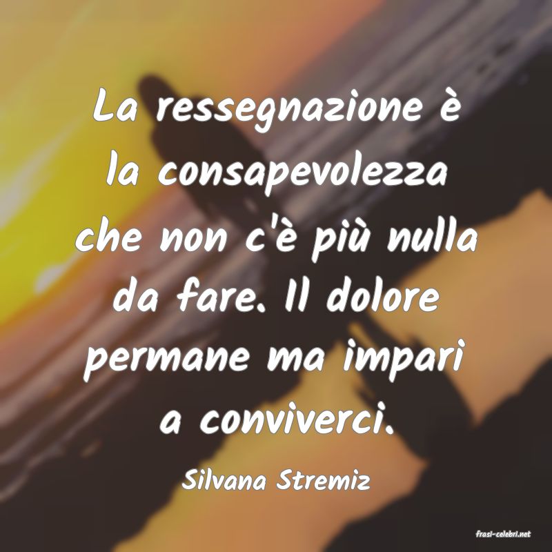 frasi di  Silvana Stremiz
